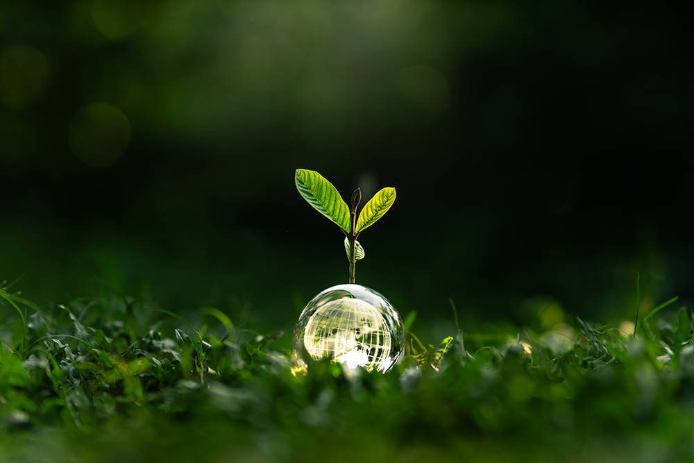 innov-durable